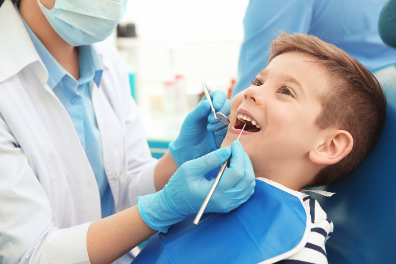 Dental Cleanings & Exams